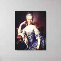 Portrait of Marie Antoinette - Martin van Meytens