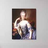 Portrait of Marie Antoinette - Martin van Meytens