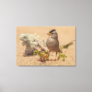 Lienzo Pose llamativo