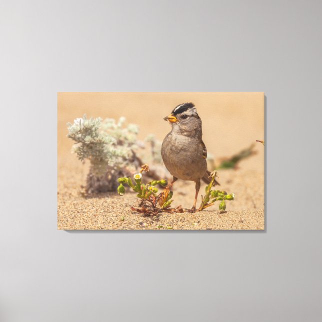 Lienzo Pose llamativo (Anverso)