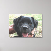 Poses de Smokey para la cámara