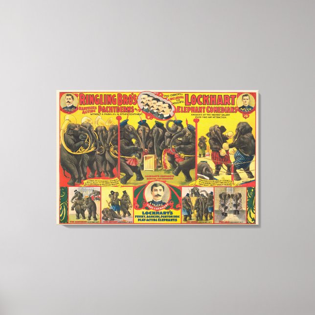 Lienzo Poster Circo De Elefantes Actuando (Anverso)