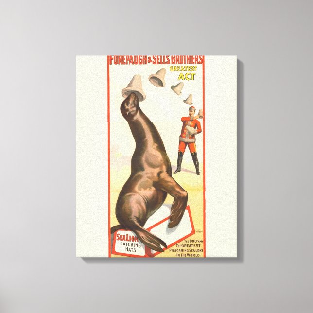 Lienzo Poster Circo Muestra A Un León Del Mar Atrapando G (Anverso)