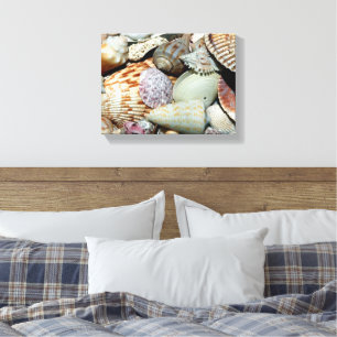 Lienzo poster de conchas marinas