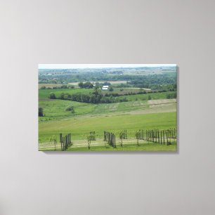 Lienzo Póster de viñedo Grapevine de Platteville, Wiscons