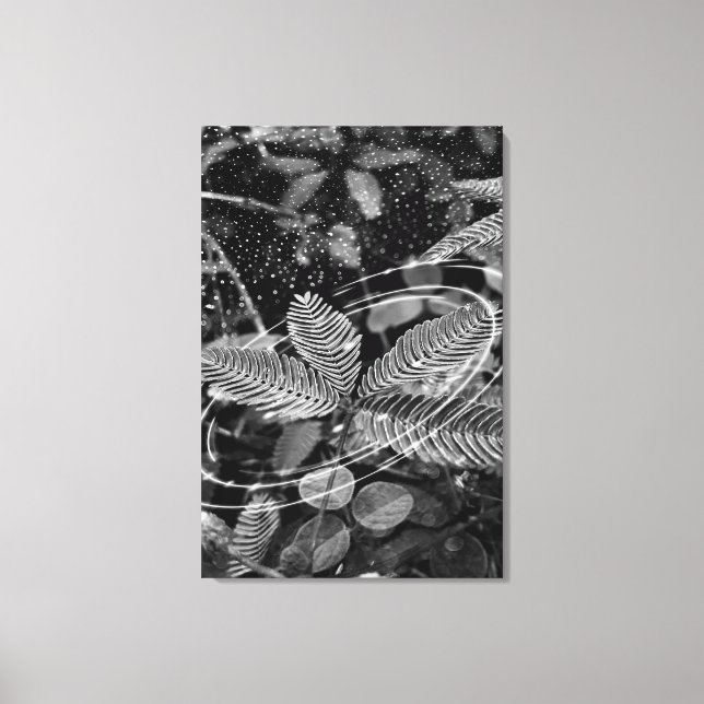 Lienzo Poster Folhas - P&B (Anverso)