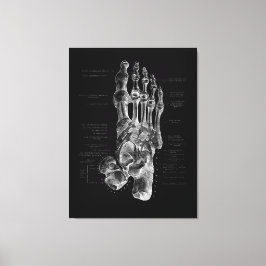 Lienzo Poster Médico Podiatra de Anatomía de Pie