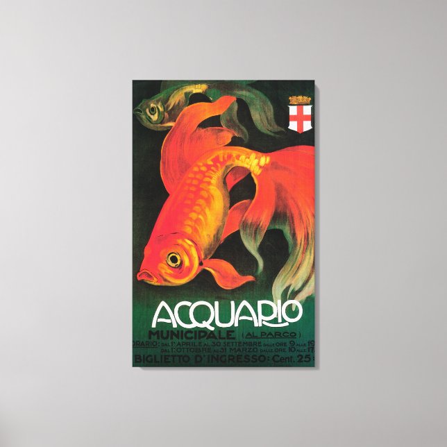 Lienzo Poster Promocional de Acuario y Parque Municipal (Anverso)