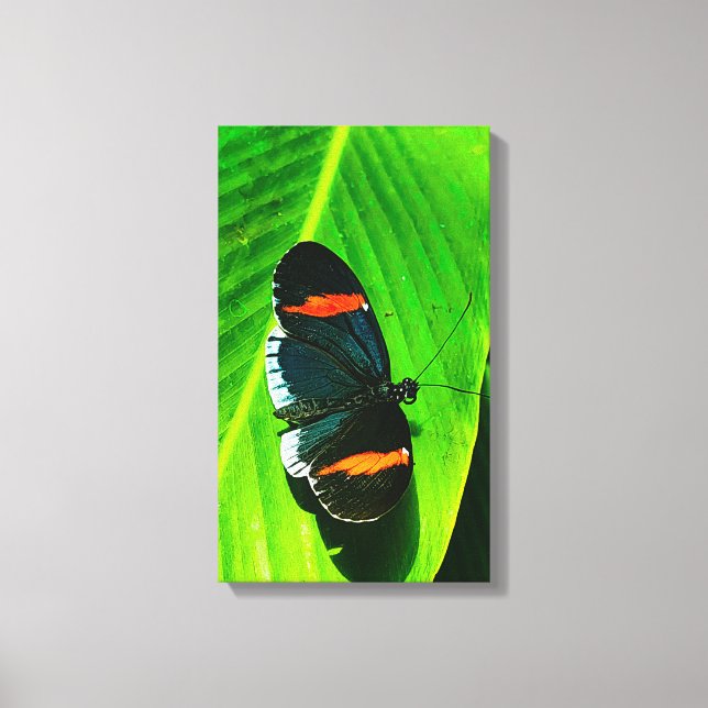 Lienzo Postman rojo (Anverso)