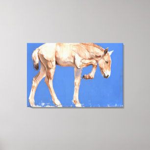 Lienzo Potro 2012 de Przewalski