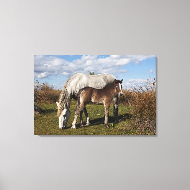 Lienzo Potro de caballo Camargue con madre (Anverso)