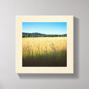 Lienzo Pradera de verano con flores silvestres azules