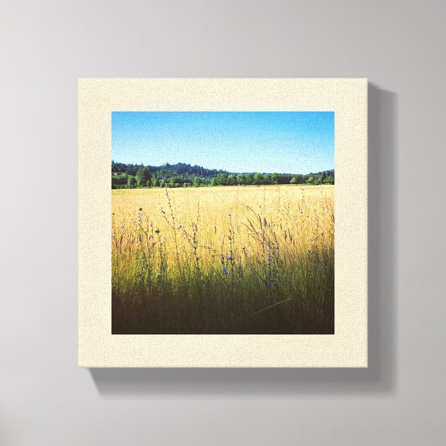 Lienzo Pradera de verano con flores silvestres azules (Anverso)
