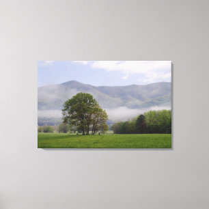 Lienzo Prado brumoso y Rich Mountain, Cades Cove,