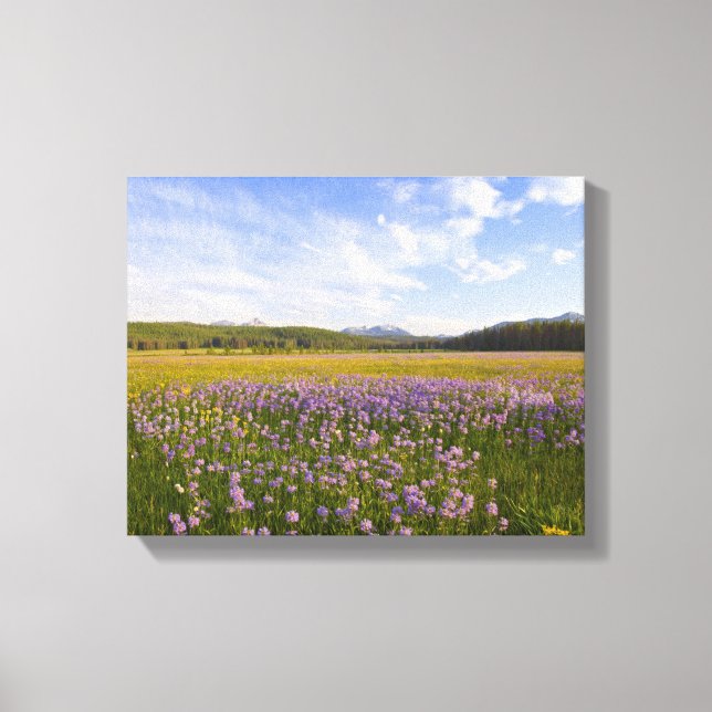 Lienzo Prado de flores silvestres de penstemon en el (Anverso)