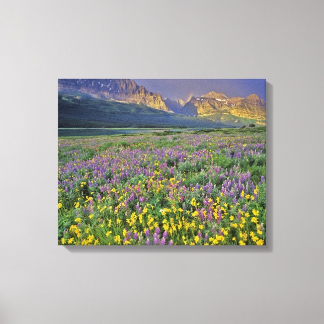 Lienzo Prado de flores silvestres en Many glacier (Anverso)