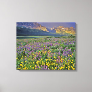 Lienzo Prado de flores silvestres en Many glacier