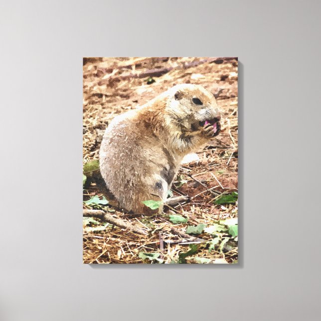 LIENZO PRAIRIE DOG (Anverso)