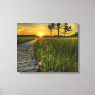 Lienzo Prairie Sunset