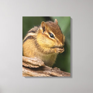 Lienzo Prayerful Chipmunk
