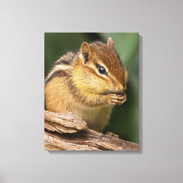 Lienzo Prayerful Chipmunk (Anverso)