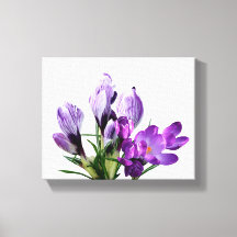 Precioso crocus floral moderno digital en púrpura 