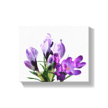 Precioso crocus floral moderno digital en púrpura