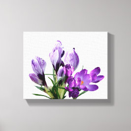Lienzo Precioso crocus floral moderno digital en púrpura