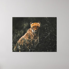 Lienzo Predator O Prey Staredown Canvas Art