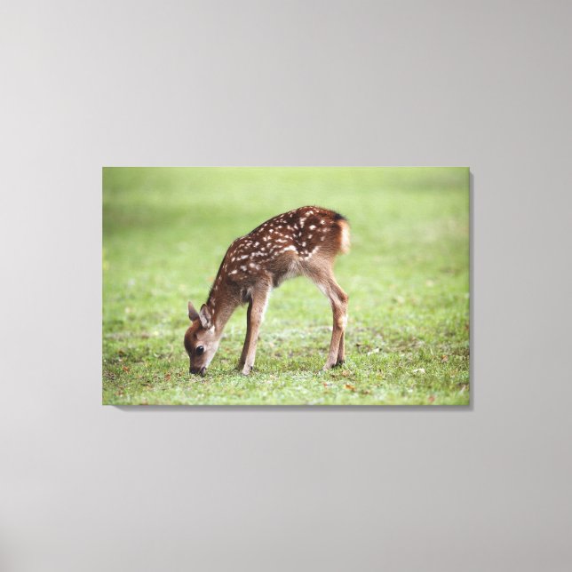 Lienzo Prefectura de Nara, Honshu, Japón 3 (Anverso)