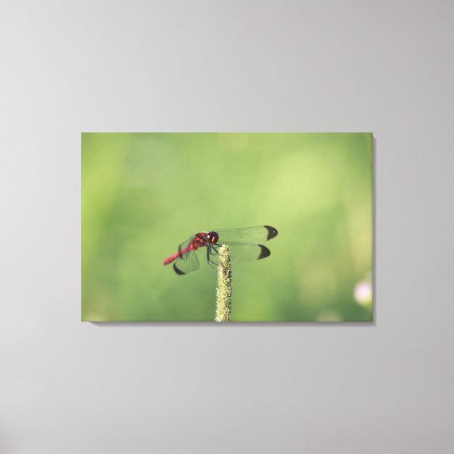 Lienzo Prefectura de Yamanashi, Honshu, Japón (Anverso)