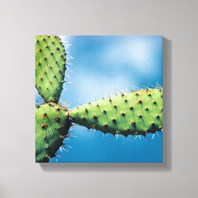 Lienzo Prickley Cactus (Anverso)