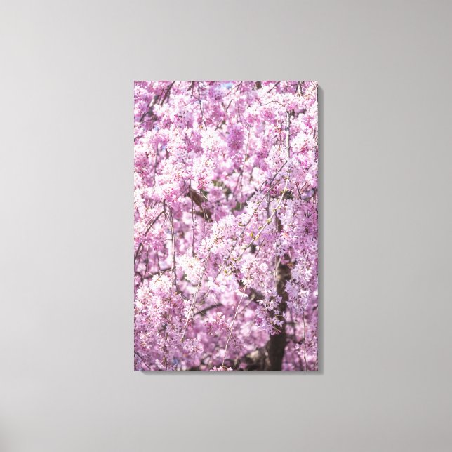 Lienzo Primavera de flores de cerezo (Anverso)