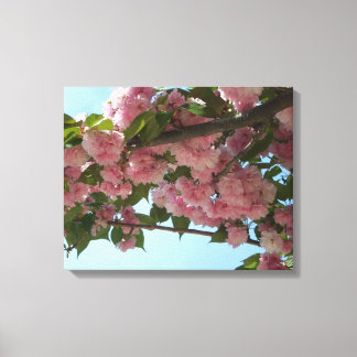 Lienzo Primavera del Árbol de cerezo IV con doble floreci