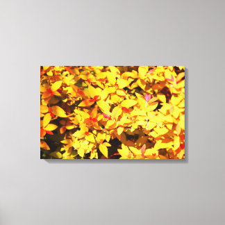 Lienzo Primavera en el Arboreto 6