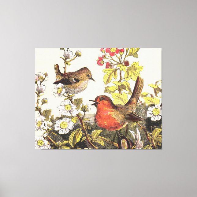 Lienzo Primavera Robin Birds Red Birds (Anverso)