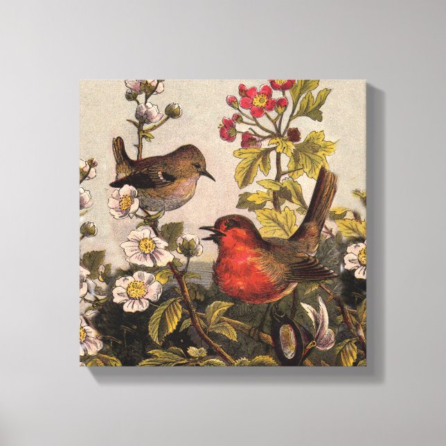Lienzo Primavera Robin Birds Red Birds (Anverso)