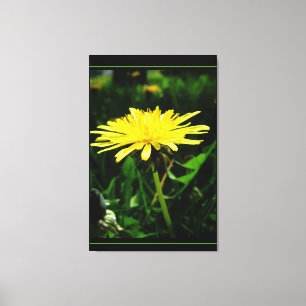 Lienzo primavera tiempo flor de diente de león amarillo s