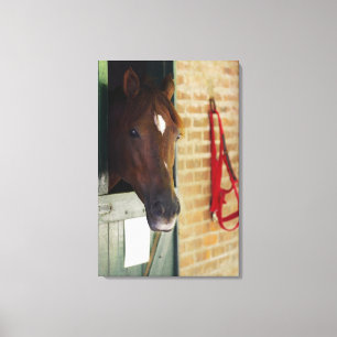 Lienzo Primer de un caballo 2