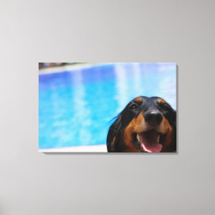 Lienzo Primer de un jadeo del perro del Dachshund