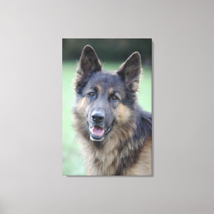 Lienzo primer de una cara del perro