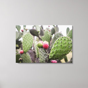 Lienzo Primer plano de Nopal
