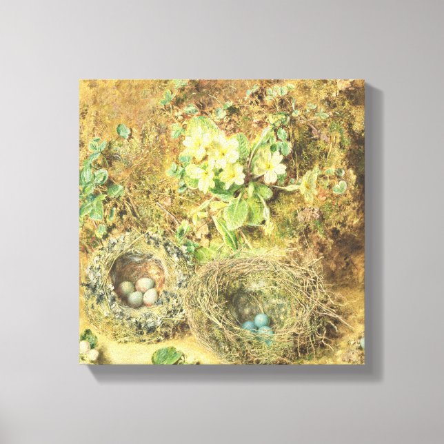 Lienzo Primoras y nidos de pájaros (Anverso)