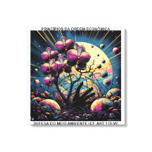 PRINCÍPIOS DA ORDEM ECONÔMICA - CANVAS esticada