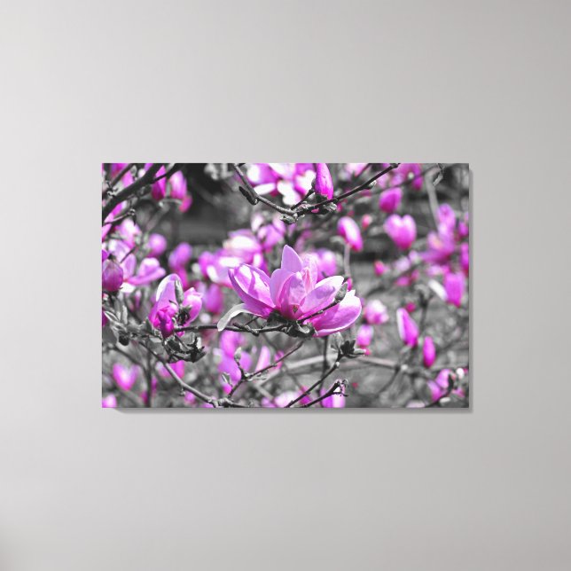Lienzo Profundo Magnolia Blooms Triptych (Anverso)