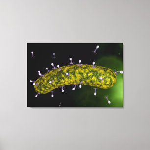 Lienzo Propósito microscópico de atacar del bacteriófa