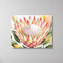 Protea rey acuarela