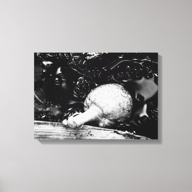 Lienzo protector oscuro (Anverso)