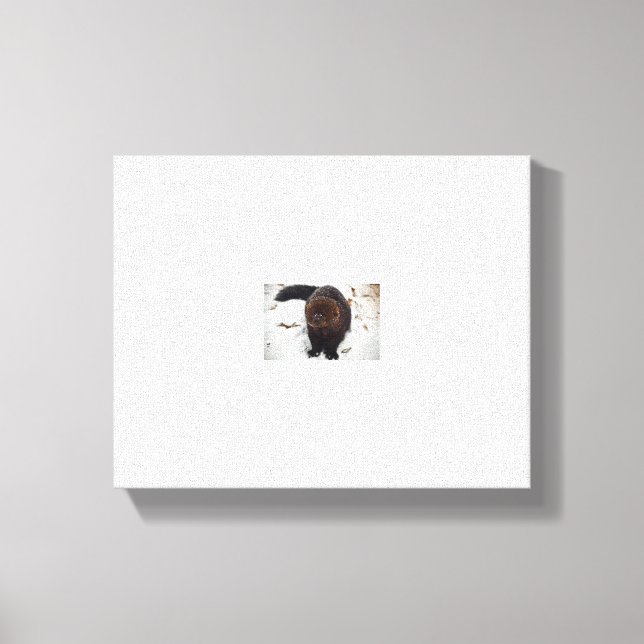 Lienzo prueba (Anverso)