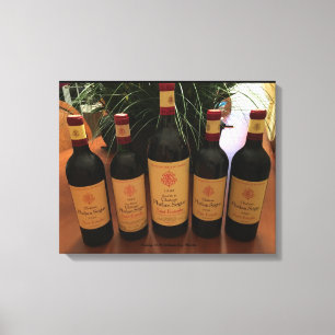 Lienzo Prueba de 1989,1990,2000,2005,2010 Phelan Segur